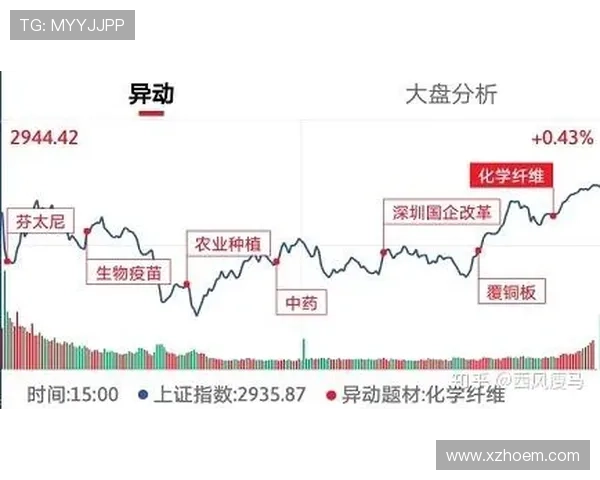 广州排球队与杭州排球队赛后复盘分析比赛节奏与战术表现